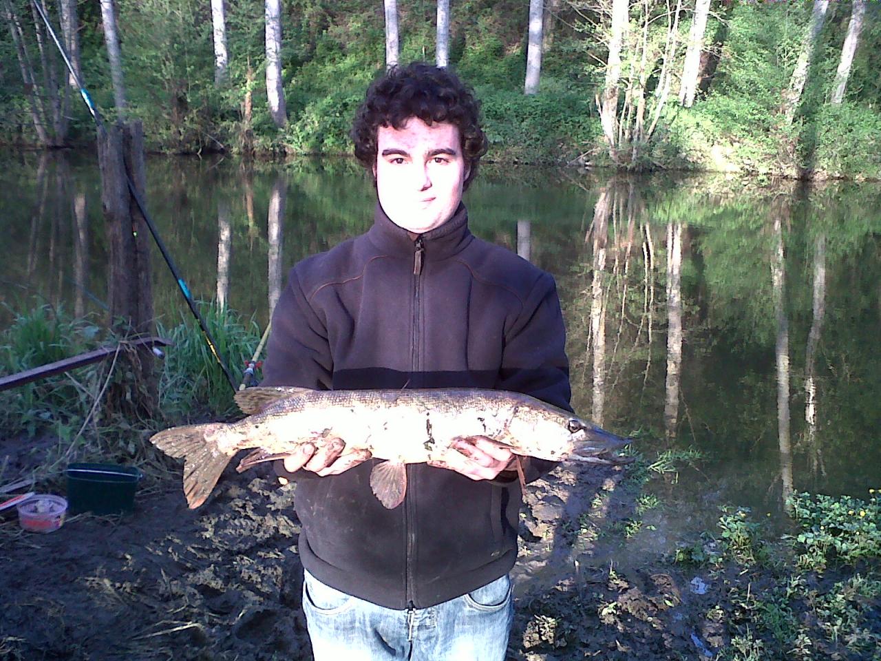 Brochet 